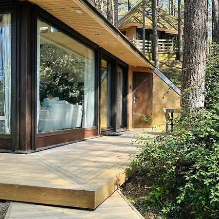 펜션 800m Mer- La Maison Sous Les Pins-renovee 2024 Neufchâtel-Hardelot