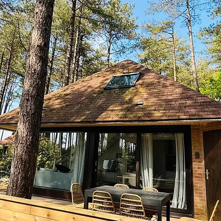 800m Mer- La Maison Sous Les Pins-renovee 2024 *
